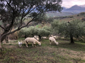 Alpacafarm Abruzzovakantie Sant'Eusanio del Sangro